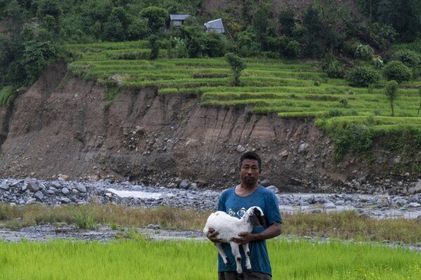 Sukuram Tamang, 50, stands with his goat in front of where his house once stood after it was damaged by recent landslides in Melamchi, northeast of Kathmandu, Nepal, on Saturday, Sept. 14, 2024. (AP Photo/Niranjan Shrestha)