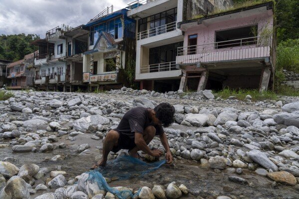 A man sets a fish trap near homes abandoned after flooding at Chanaute Market, Melamchi, northeast of Kathmandu, Nepal, on Sunday, Sept. 15, 2024. (AP Photo/Niranjan Shrestha)