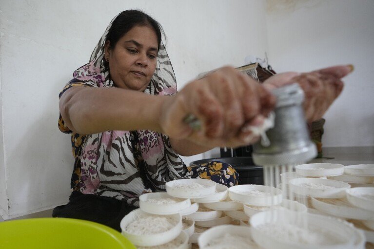 Fathima Shiyama, 48, prepares local delicacies at home, to be sold later from her food cart, in Colombo, Sri Lanka, Tuesday, Sept. 3, 2024. (AP Photo/Eranga Jayawardena)