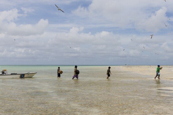 Metfidza Marino, from left, Tony Chayum, Mouwanes Patris Bismark and Aarson Aaron help the Hatohobei State Rangers bring goods from the speed boats to the ranger station and living quarters on Helen Island, Palau, July 17, 2024. (AP Photo/Yannick Peterhans)